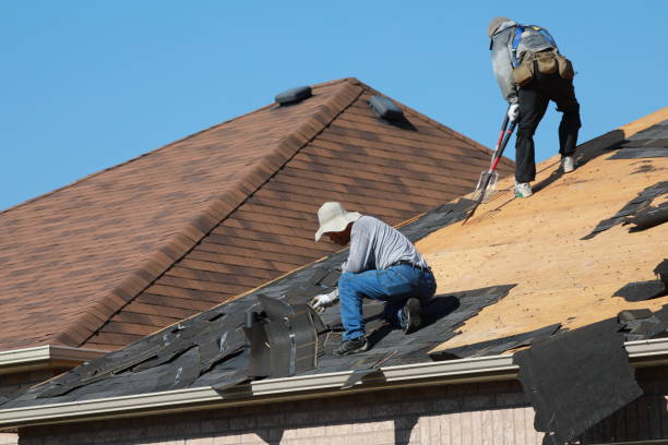 Best Siding  in Celina, OH